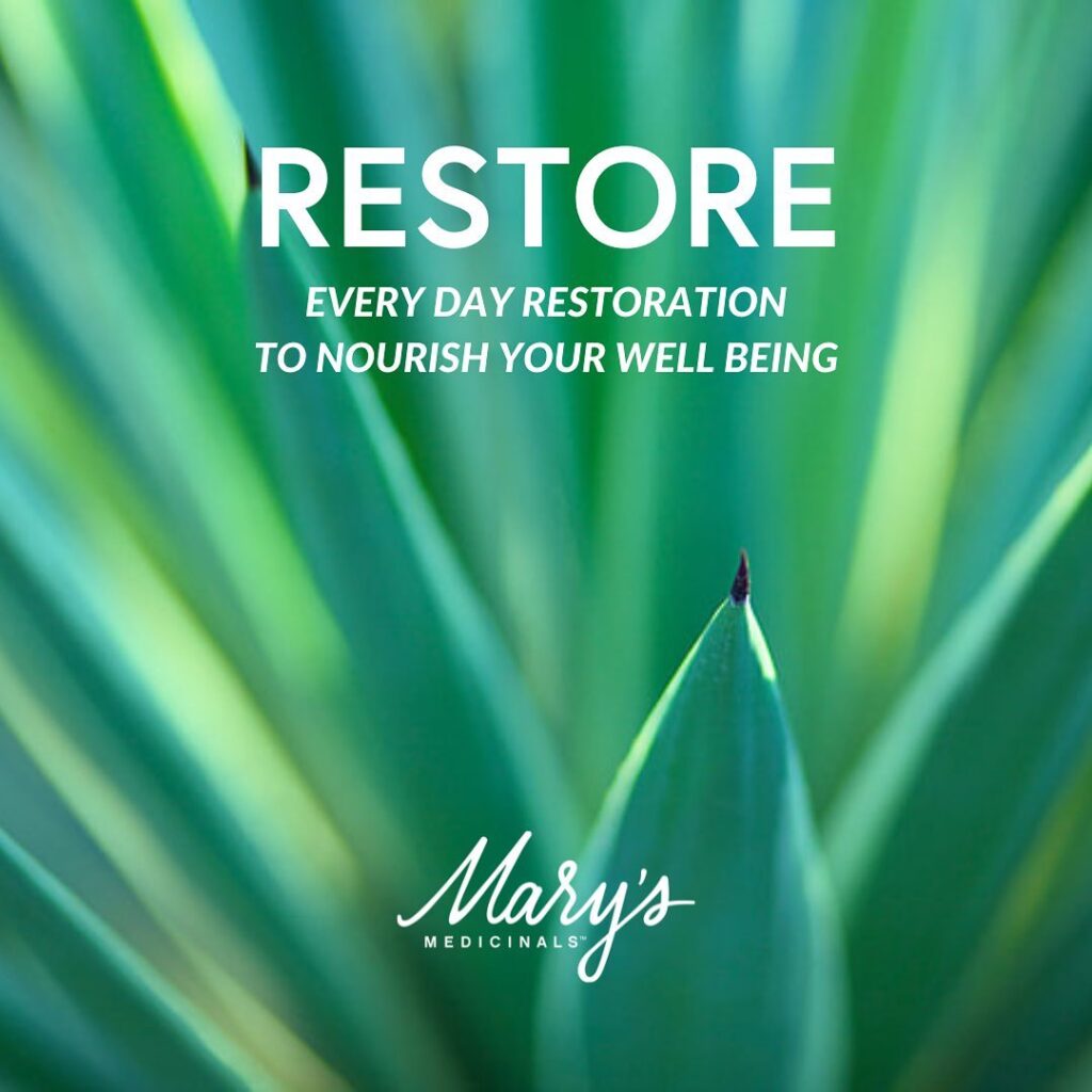 teal aloe plant 
Text: RESTORE - Everyday restoration to nourish your wellbeing