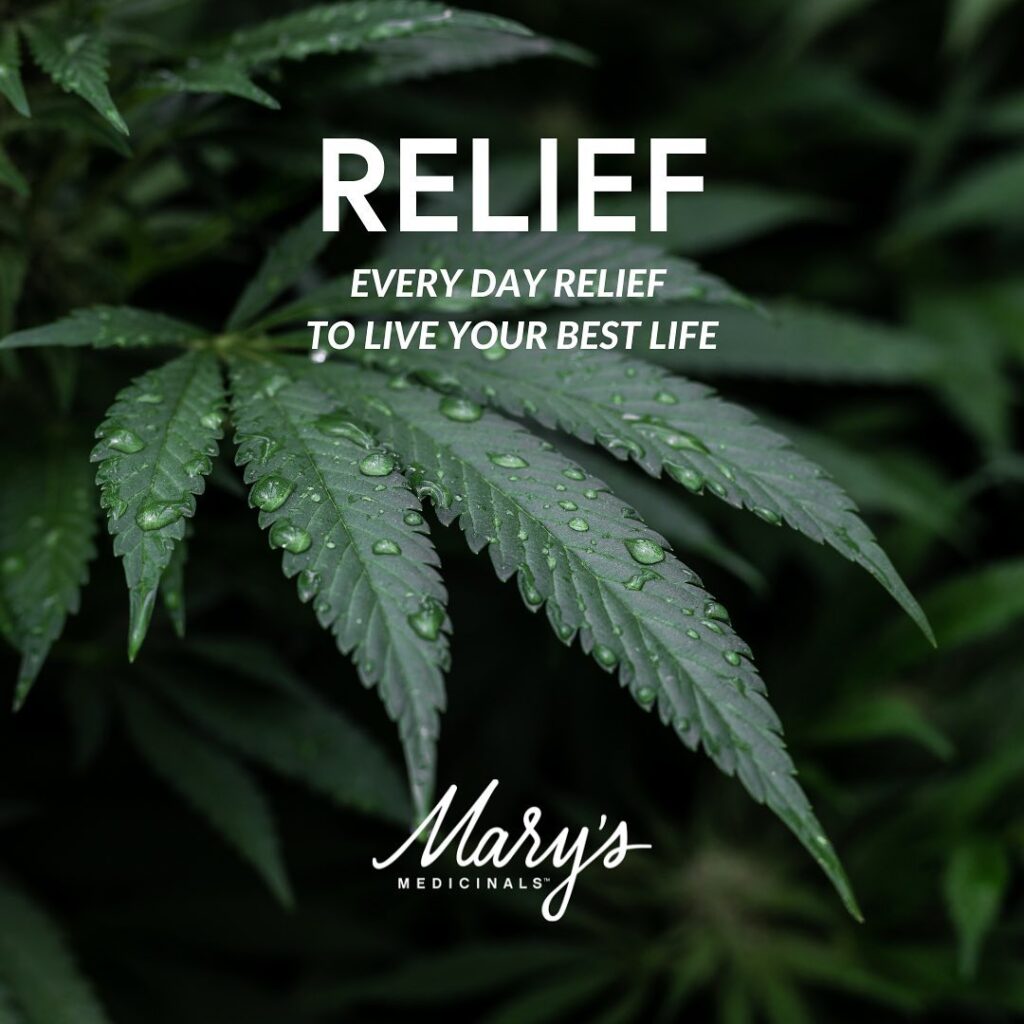 wet cannabis leaf in a grow
Text: RELIEF - Everyday relief to live your best life