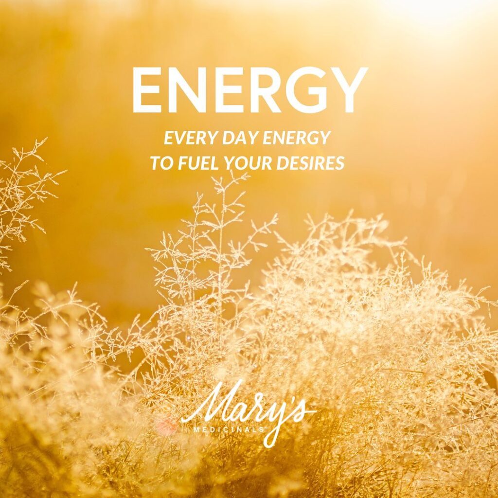 plants with sun shining in field
Text: ENERGY - Everday energy to fuel your desires