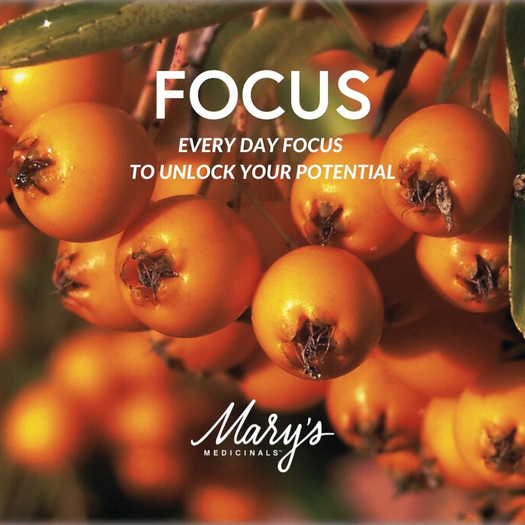 orange berries on vine
Text: Focus - Everyday focus to unlock your potential