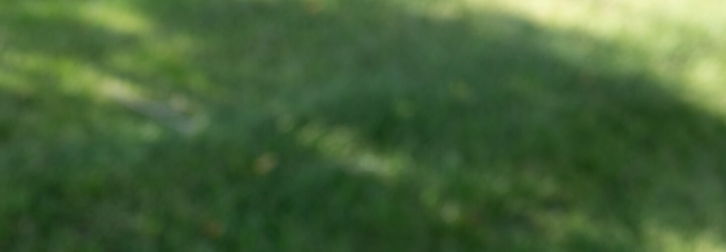 Hand cutting paper with purple scissors