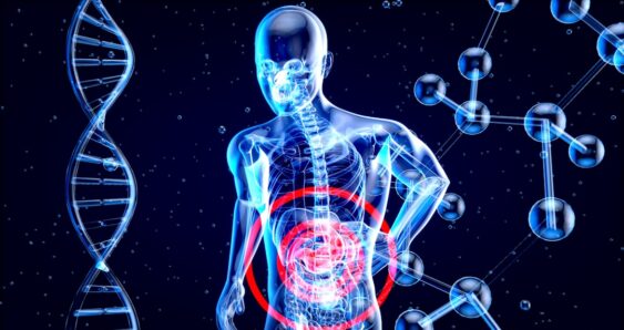 Digital human digestive system pain illustration