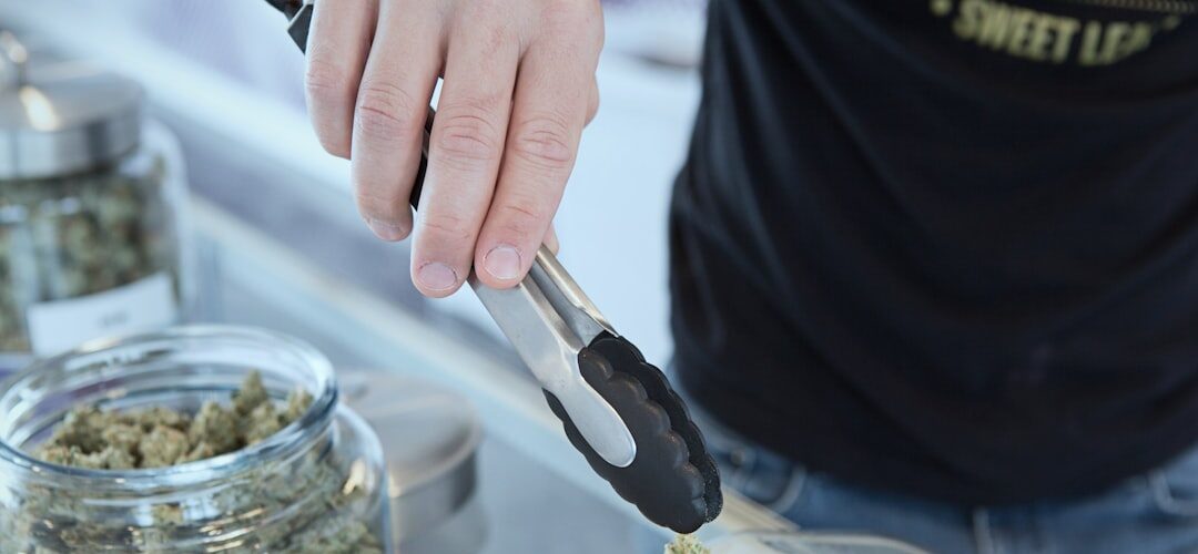 Weighing cannabis buds at dispensary counter