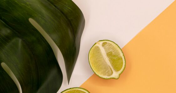 Two lime halves with large green leaf